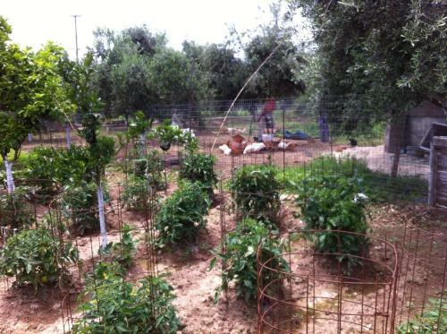 Bio Garden Stonehouse