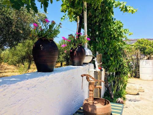 Evaggelias Home Gavalochori