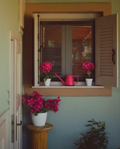 Modern 2 Bedroom House With Beautiful Garden