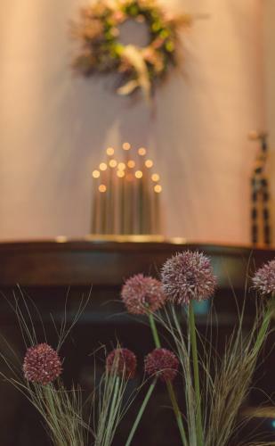 Modern 2 Bedroom House With Beautiful Garden