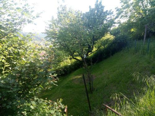 V4 Kil�t�terasz Apartmanok Emelet