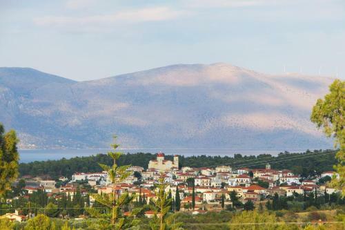 Villa In The Olive Trees