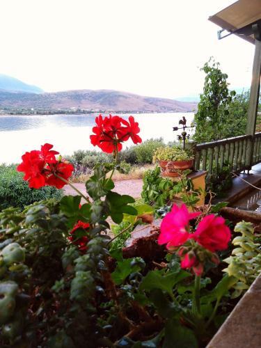 Villa Aphrodite's Coast Retreat House!