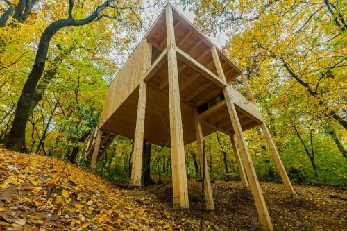 Apartamento Treehouses Noszvaj