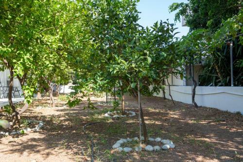 Apartamento Manianna Appartments -ierapetra