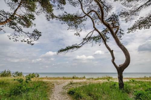 Apartamento Fewo Prora - Strandidyll