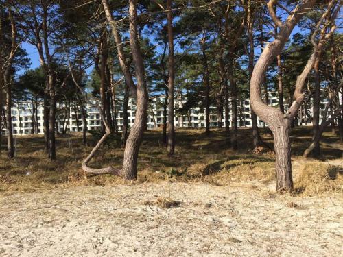 Apartamento Strandresidenz Appartement Basst�lpel A22