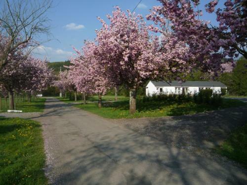 Motel Le Brissoneau