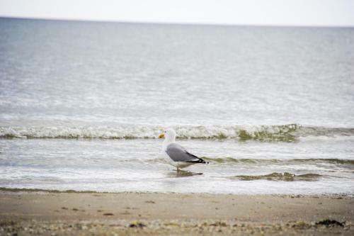Apartamento Fewo Prora - Meersonnewind