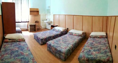 Albergue Musk�tli Vend�gh�z