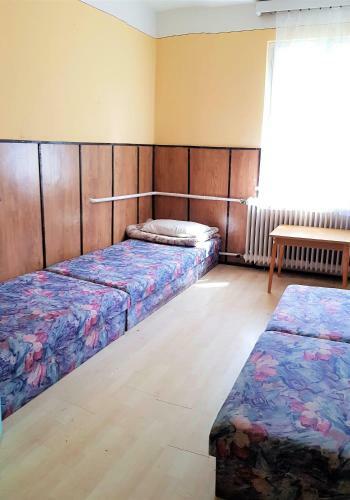 Albergue Musk�tli Vend�gh�z