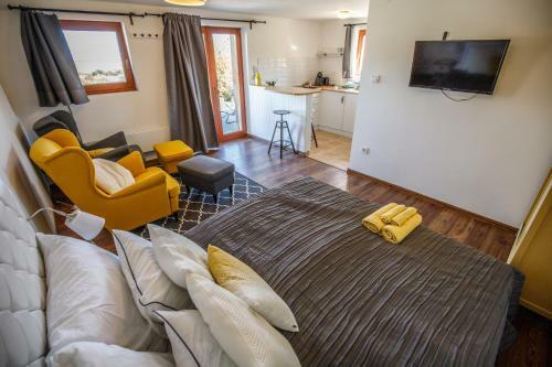 Hostal Bor�rium Vend�gh�zak - Zen-g? H�z