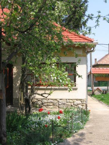Apartamento Man� Vend�gh�z