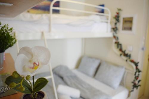 Apartamento Ioannina Candy Studio