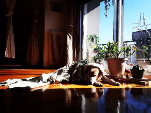 Urban Yoga House Hostel & Retreat