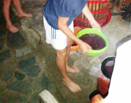 Apartamento Alexandra Homestay