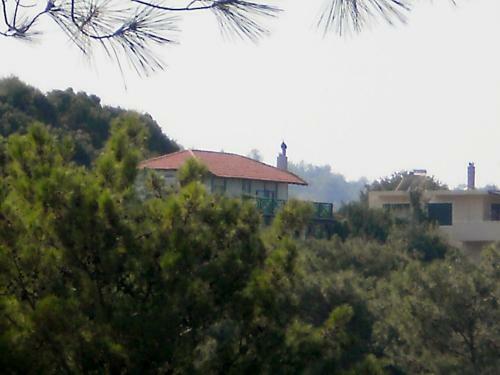 Apartamento Alexandra Homestay