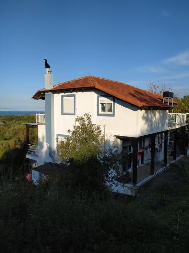 Apartamento Alexandra Homestay