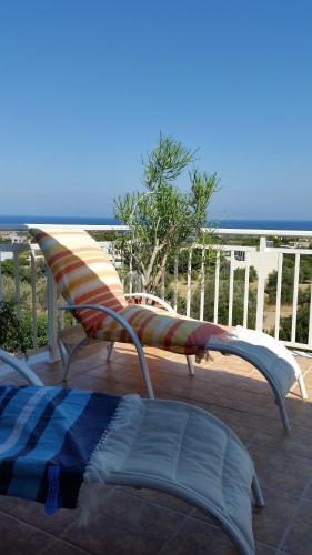 Apartamento Alexandra Homestay