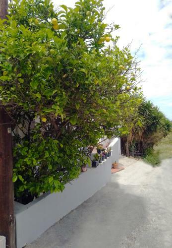 Apartamento 180� View Luxury Flat