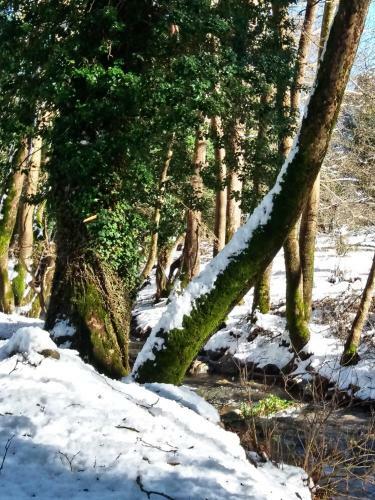 Chalet Coquelicot (co-cli-co) Relax In Nature