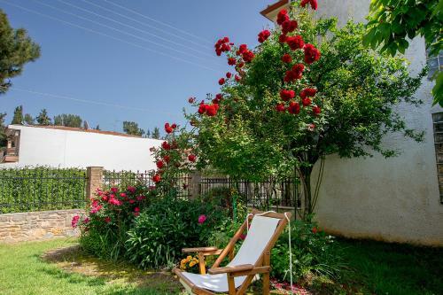 Rustic, Luxurious,garden Villa 70m From The Sea