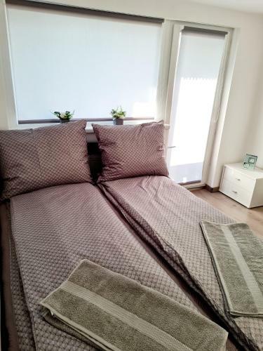 Hostal H�cza House Poroszl�
