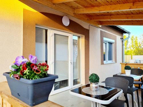 Hostal H�cza House Poroszl�