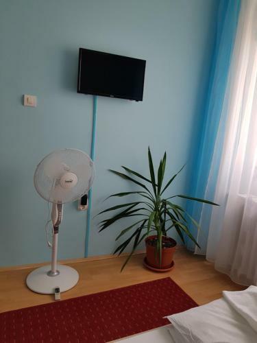 Coral Apartman