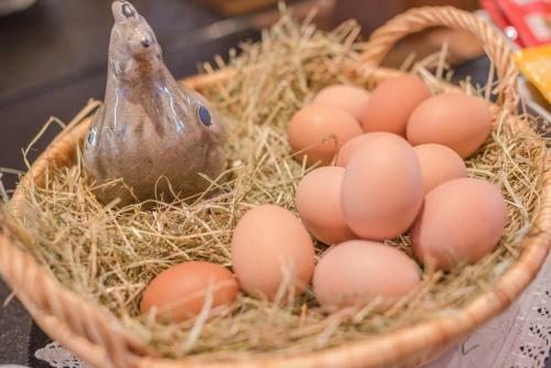 Aparthotel Hotel Almschl�ssl & Schrotteralm