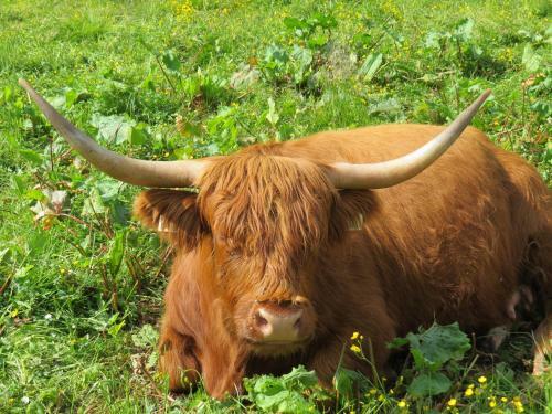 Apartamentos Appartements Sunshine