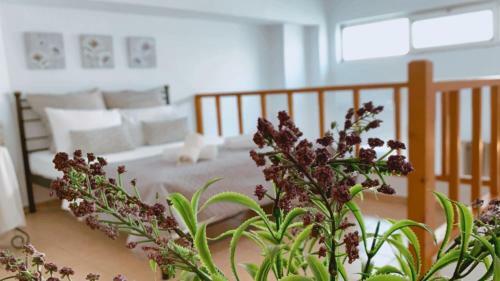 Apartamento Maisonete Near Beach & Center