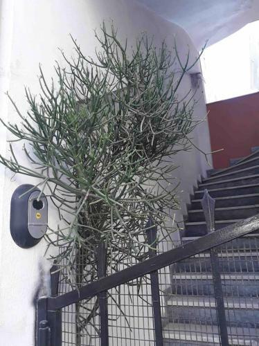 Apartamento Cozy Studio In Central Location Of Heraklion