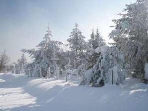 Apartamento Haus Bergblick Bay. Wald