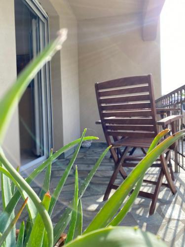 Saint Stephen's Apartements At Meteora 3