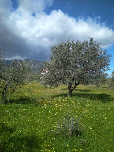 Apartamento Elaias Gea -kalampaka