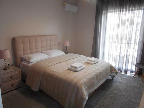 Meteora Deluxe Apartment / Amazing View