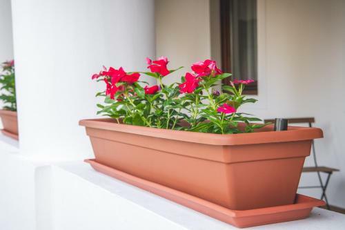 Apartamento Vitorl�s Vend�gh�z