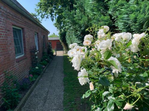 Apartamento Ferienwohnung Landfein