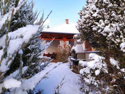 Apartamento Tulip�n Vend�gh�z