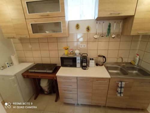 Borina Vend�gh�z