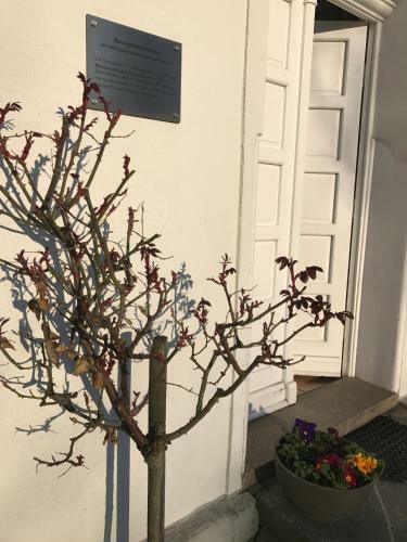 Apartamento F�rstlich Wohnen