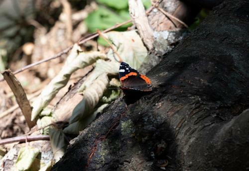 Zoi's House Luxurious Vacation