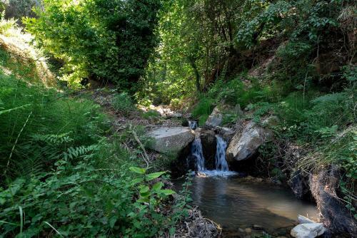 Zoi's House Luxurious Vacation