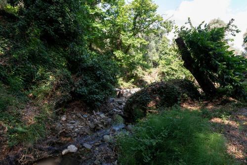 Zoi's House Luxurious Vacation