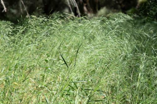 Zoi's House Luxurious Vacation