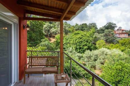 Zoi's House Luxurious Vacation