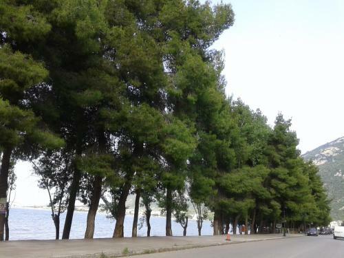 Apartamento Mare E Monti