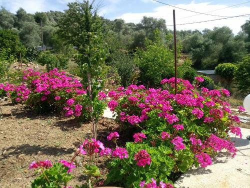 Apartamento Guesthouse Dramoundana