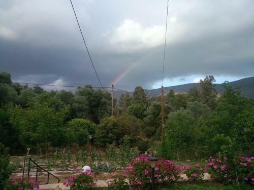 Apartamento Guesthouse Dramoundana